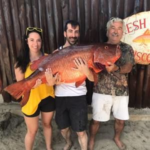 Meet your Posher, Samantha